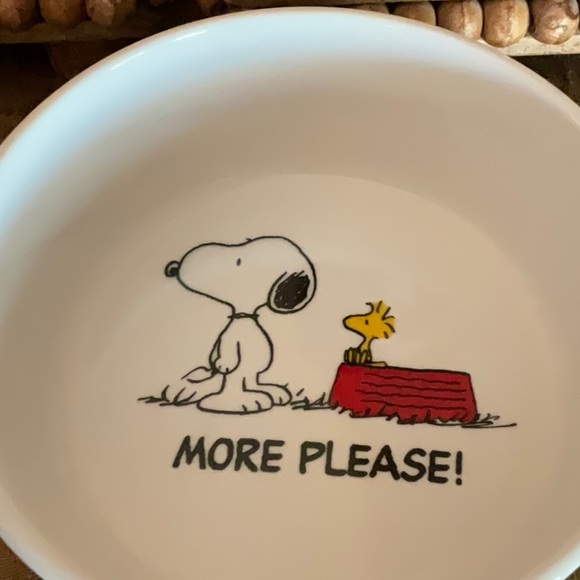 Snoopy & Woodstock Halloween Costumes Canister & MORE PLEASE! pet bowl NWT - Picture 3 of 9
